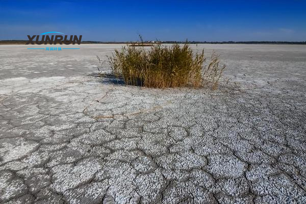 盐碱水应该怎么处理？